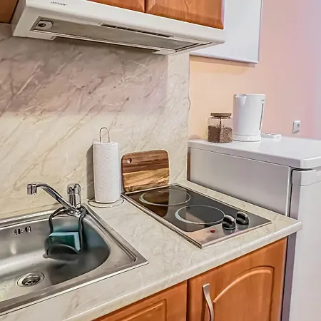 Apartman Fireplace Near Bus & Train Station Banszko