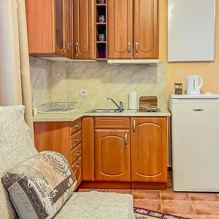 Apartman Fireplace Near Bus & Train Station